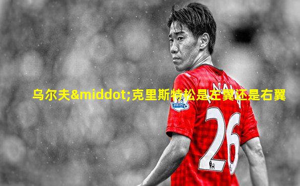 乌尔夫·克里斯特松是左翼还是右翼