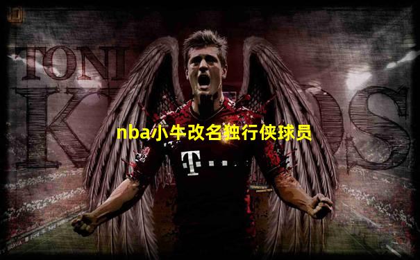 nba小牛改名独行侠球员