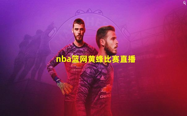 nba篮网黄蜂比赛直播