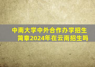 中南大学中外合作办学招生简章2024年在云南招生吗