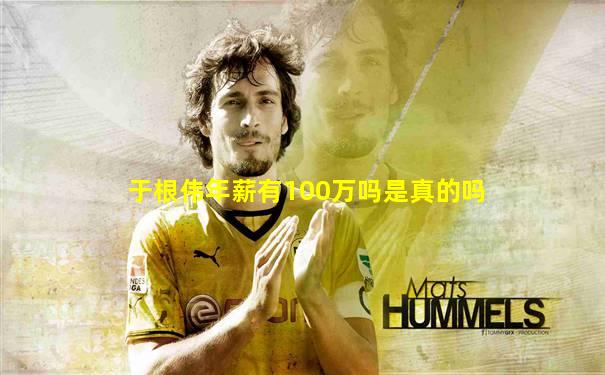 于根伟年薪有100万吗是真的吗