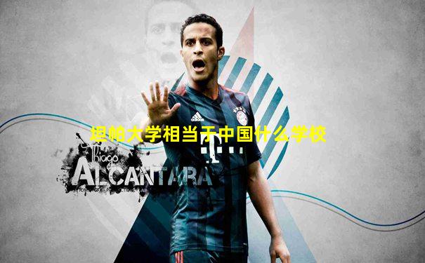 坦帕大学相当于中国什么学校