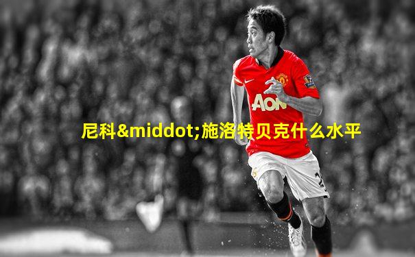 尼科·施洛特贝克什么水平