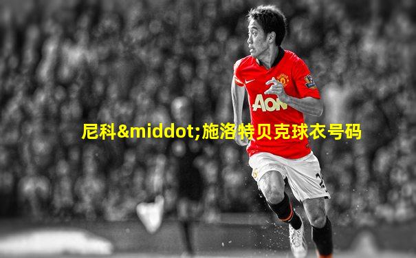 尼科·施洛特贝克球衣号码