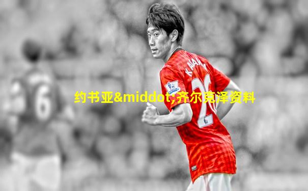 约书亚·齐尔克泽资料