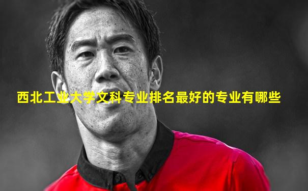 西北工业大学文科专业排名最好的专业有哪些