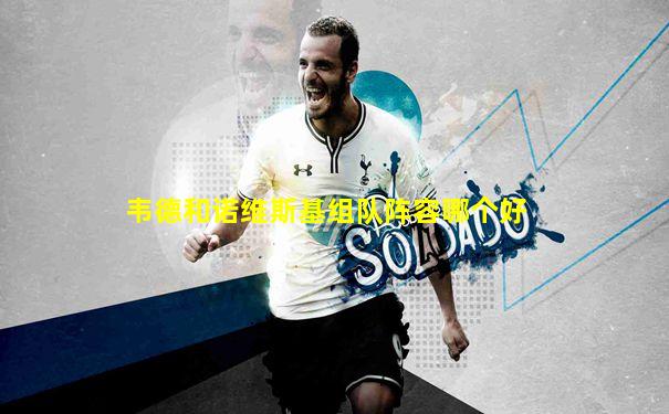 韦德和诺维斯基组队阵容哪个好